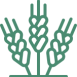 ico_2 ico_2